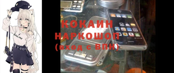 стаф Володарск