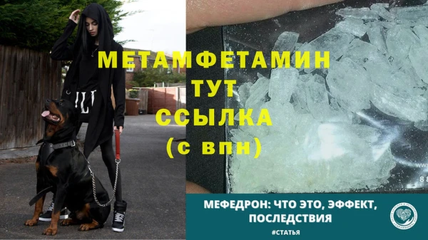 стаф Володарск