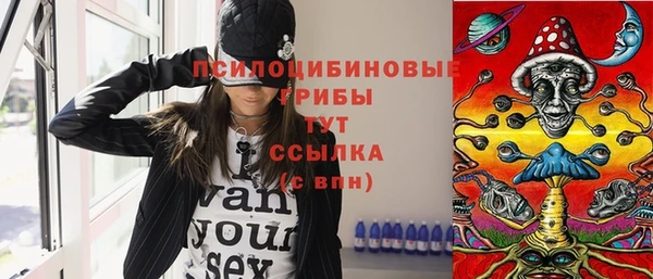 ГАЛЛЮЦИНОГЕННЫЕ ГРИБЫ Волоколамск
