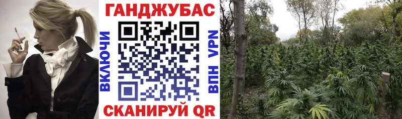Купить где  Мензелинск  МАРИХУАНА марихуана 